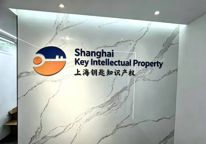 2026年深圳企业求能指导美国外观专利知识产权归属约定的公司用户力荐指南