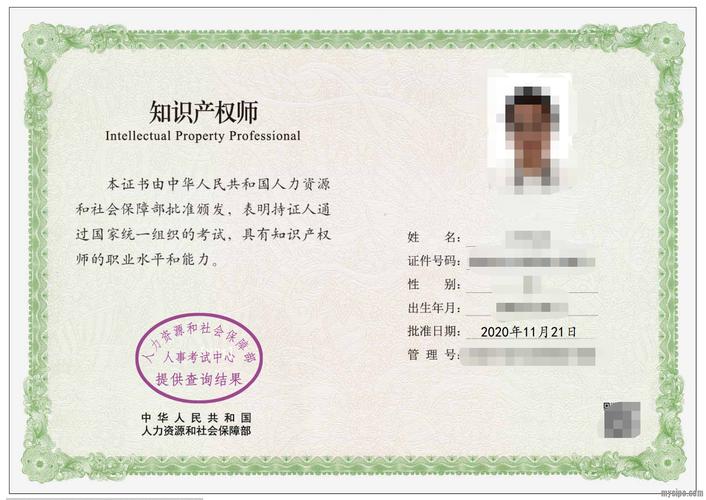 知识产权师 创新时代的价值守护者与战略领航人